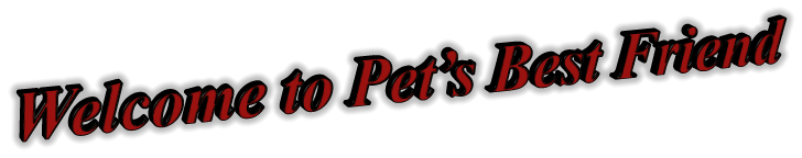 Welcome to Pet’s Best Friend